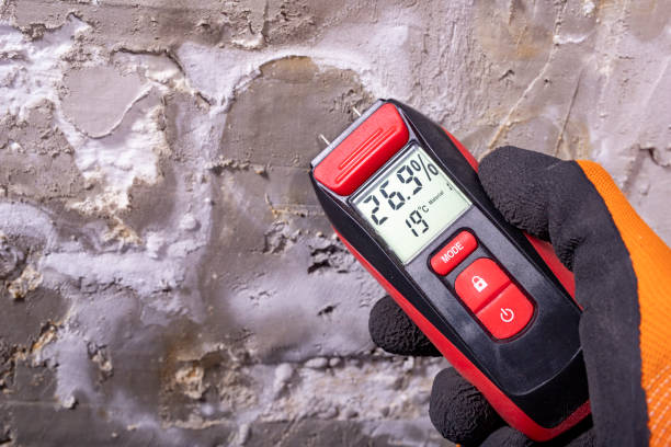 Best Commercial Mold Removal  in Burnt Mills, MD